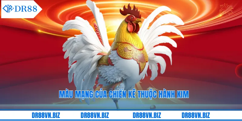 Cá cược theo màu mạng gà đá tại DR88 Cá cược theo màu mạng gà đá tại DR88