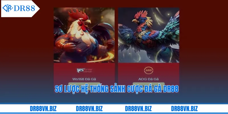 Sơ lược hệ thống sảnh cược đá gà DR88 Sơ lược hệ thống sảnh cược đá gà DR88