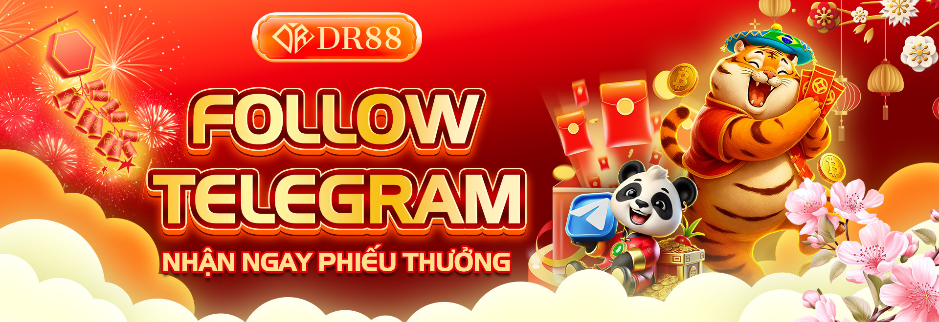 follow-tele-dr88